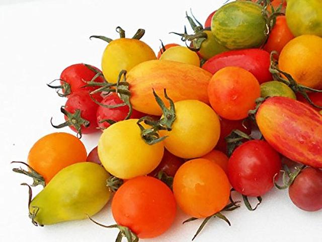 画像: Amazon | カラフルミニトマト 1Kg （約10種類・70～80粒程度）北海道剣淵産　出荷時期：7～9月 【出荷元:北海道四季工房】 | 北海道四季工房 | トマト 通販
